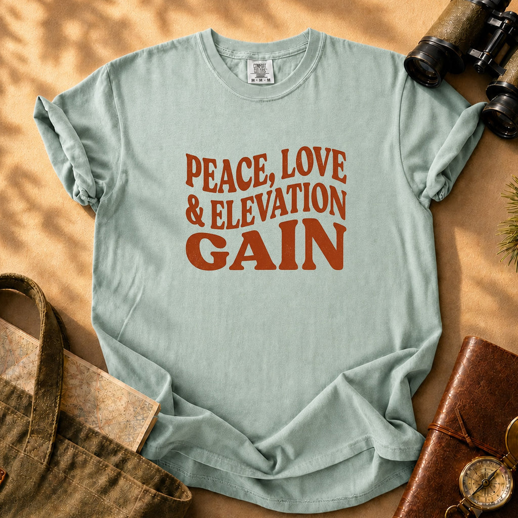 Peace Love & Elevation Gain Tee - Bay
