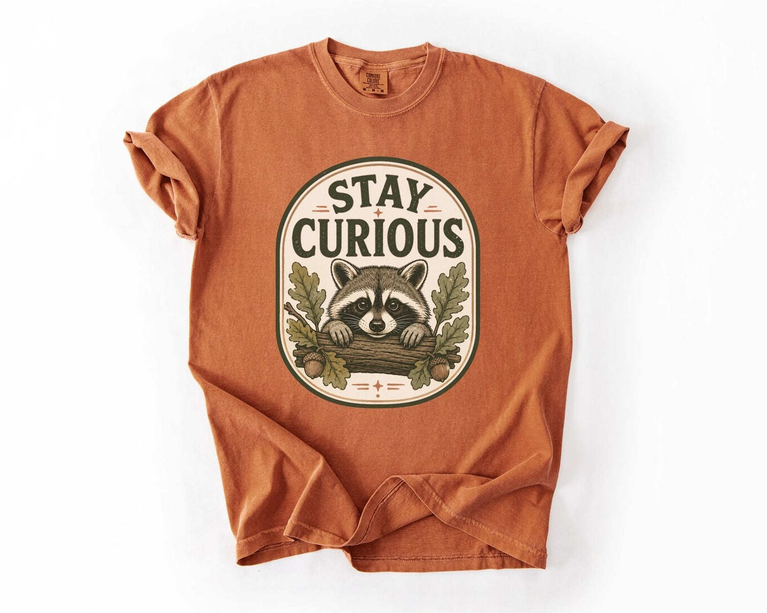 Stay Curious Raccoon T-Shirt - Yam