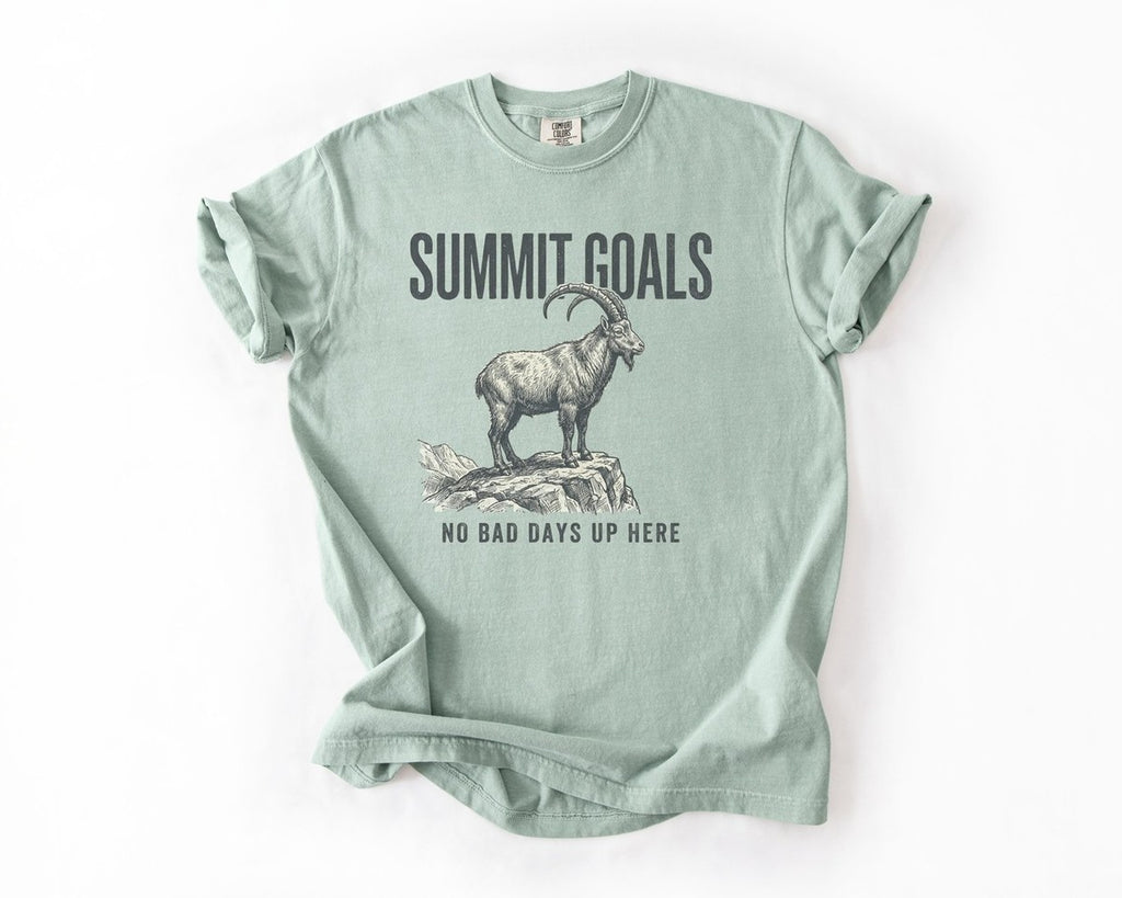Summit Goals Mountain Goat T-Shirt - Bay