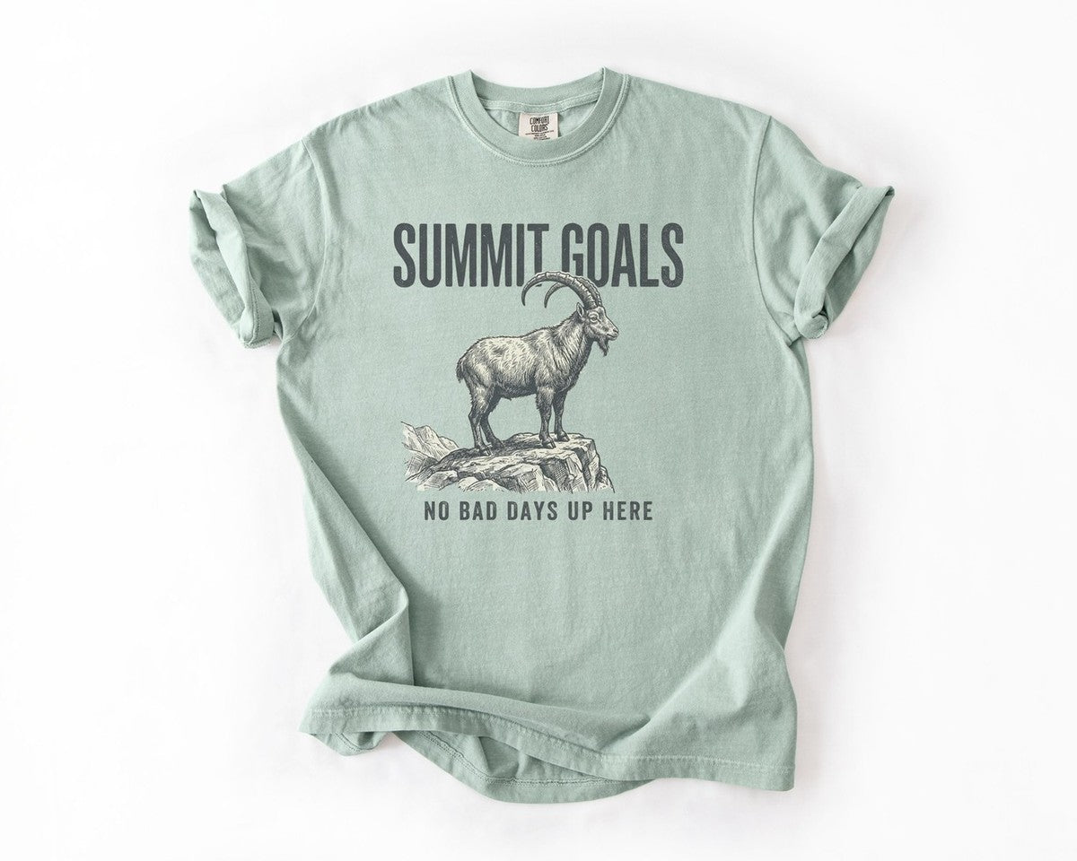Summit Goals Mountain Goat T-Shirt - Bay